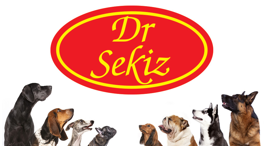 O nama • O Dr Sekiz komplementarnim dodacima ishrani