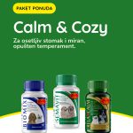 Calm & Cozy